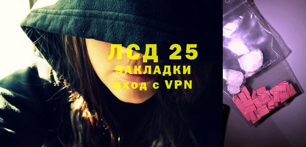 прущие грибы Володарск