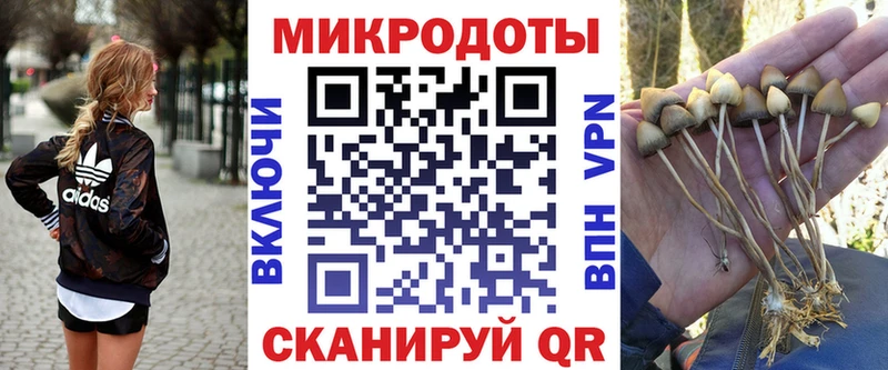 это клад  Иваново  Галлюциногенные грибы GOLDEN TEACHER  omg рабочий сайт 